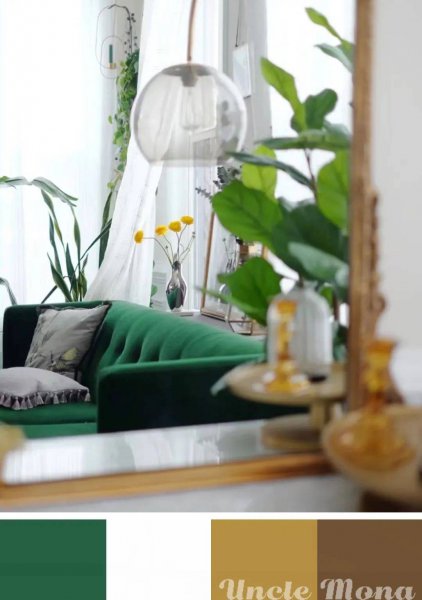 bv绿是什么意思