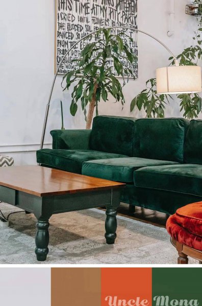 bv绿是什么意思