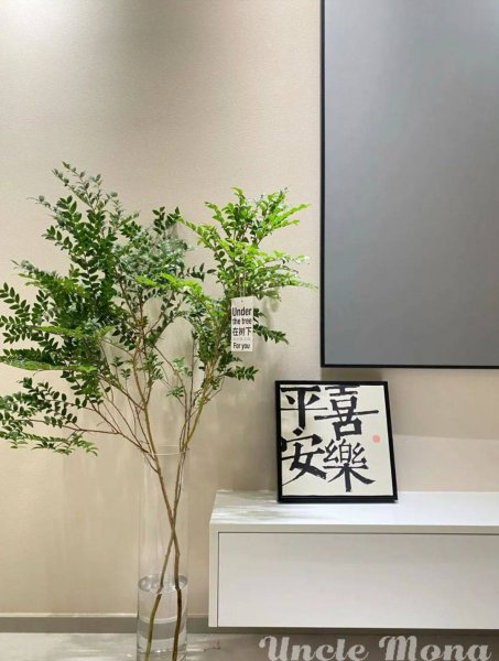 bv绿是什么意思