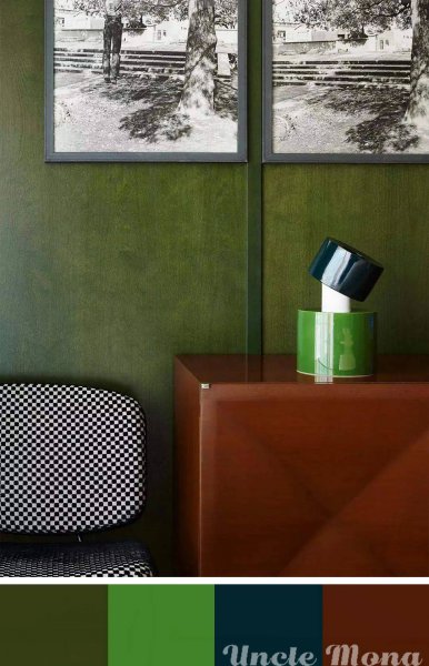 bv绿是什么意思