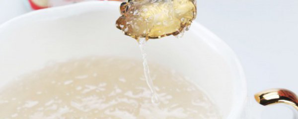 燕窝怎么熬制