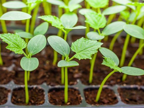 巨蟹座男生的性格脾气特点和缺点