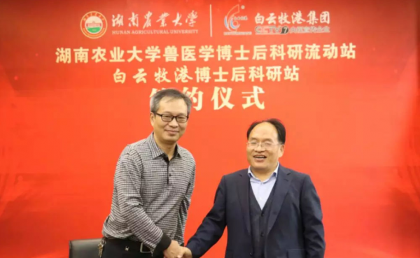 博士后是什么学位