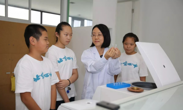 博士后是什么学位