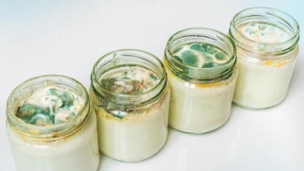 过期的牛奶可以浇花吗