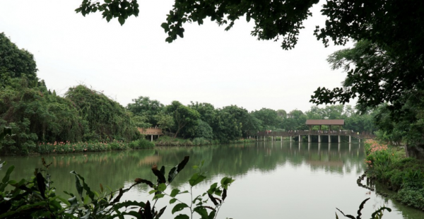 深圳景点排行榜前十名是什么地方