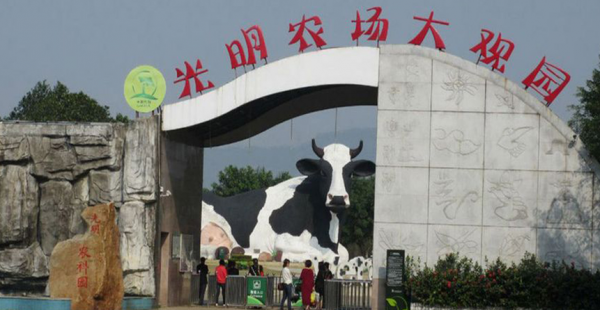 深圳景点排行榜前十名是什么地方