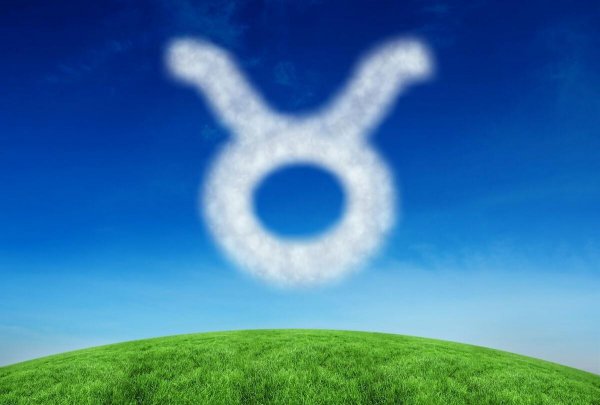 天秤女和金牛男合适吗