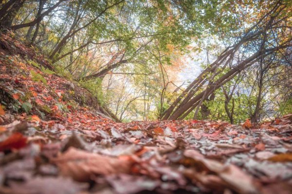 中国南北方分界线在哪里