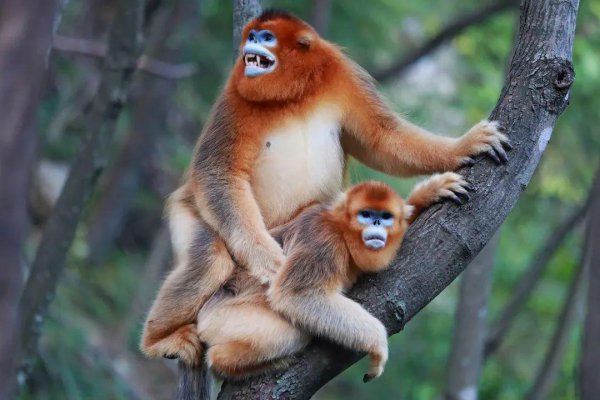 中国南北方分界线在哪里