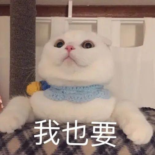 保研夏令营是干什么的