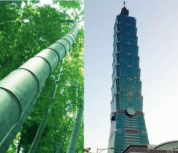 台北101大厦多高多少层