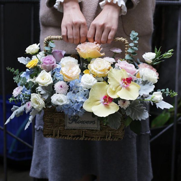 看望病人送什么花最合适