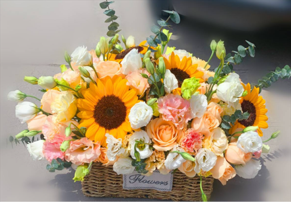 看望病人送什么花最合适