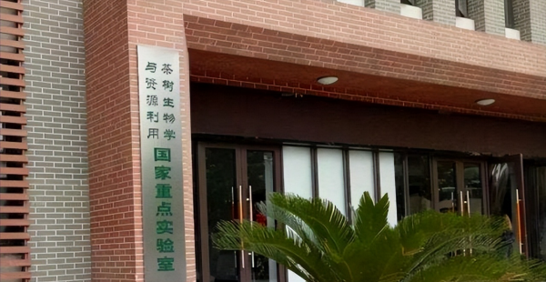 安徽工业大学在哪个城市