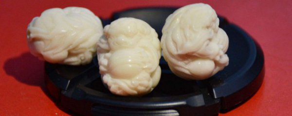 象牙果怎么辨认好坏