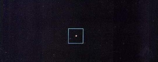 我们是不是存在于巨大生物体内