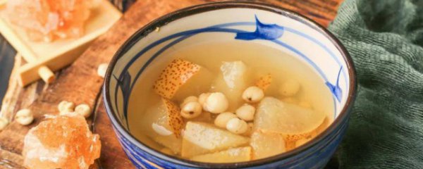 川贝和什么煲汤比较好