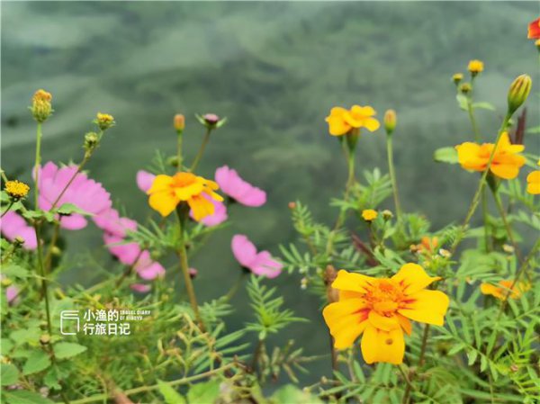 东方女儿国泸沽湖在哪里