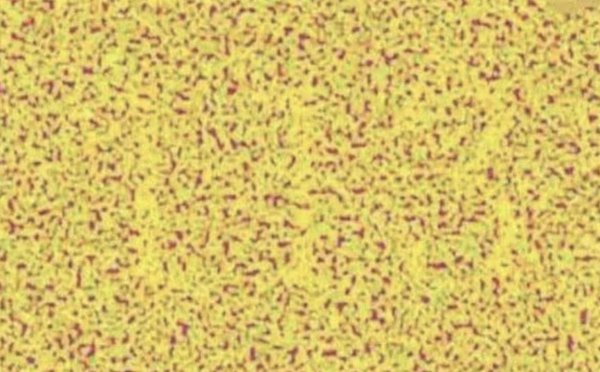 飞行员视力要求