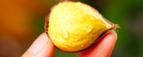 板栗和红枣能一起吃吗