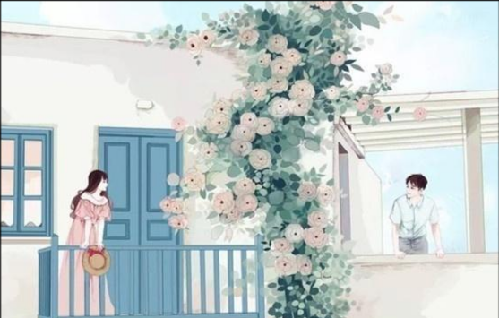 经典娱乐圈甜宠文推荐