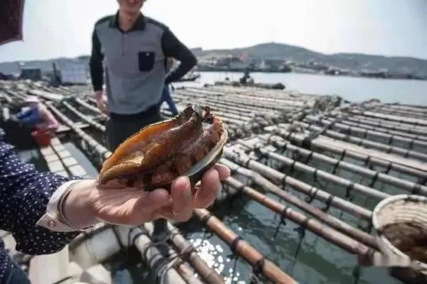 莆田特产有哪些比较有名