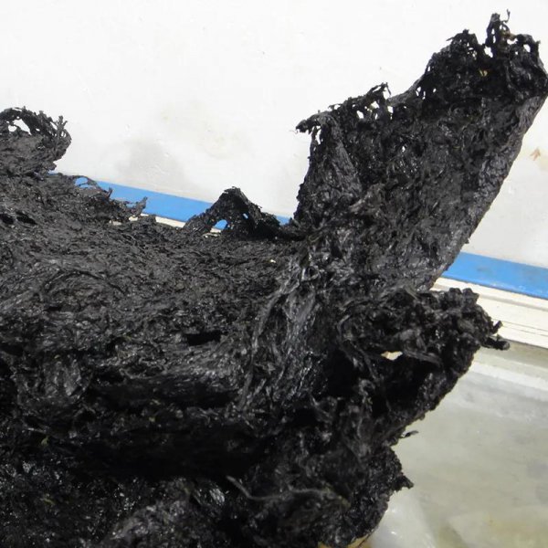 莆田特产有哪些比较有名