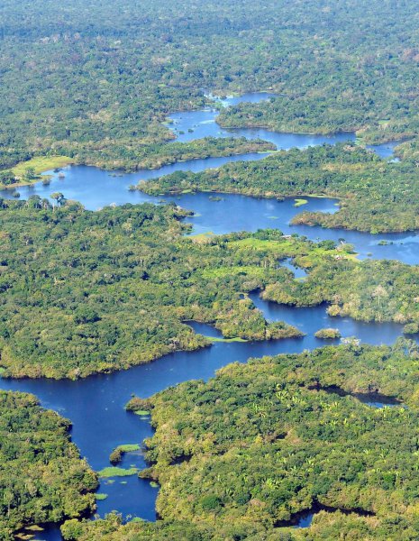 巴西高原气候类型主要是什么特征