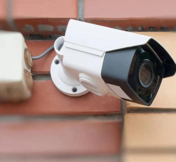 十大偏门行业有哪些利润高