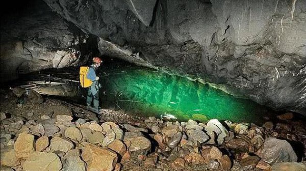 为什么有水的地方就有鱼