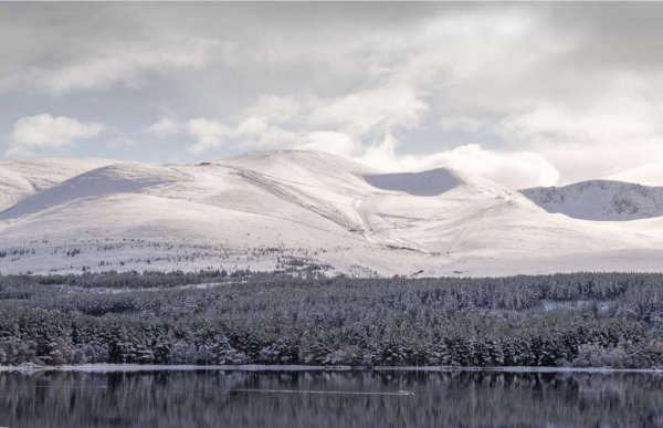 世界上刮风最多的地方是
