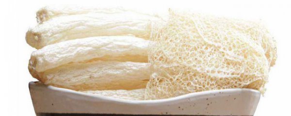 新鲜的竹荪怎么保存