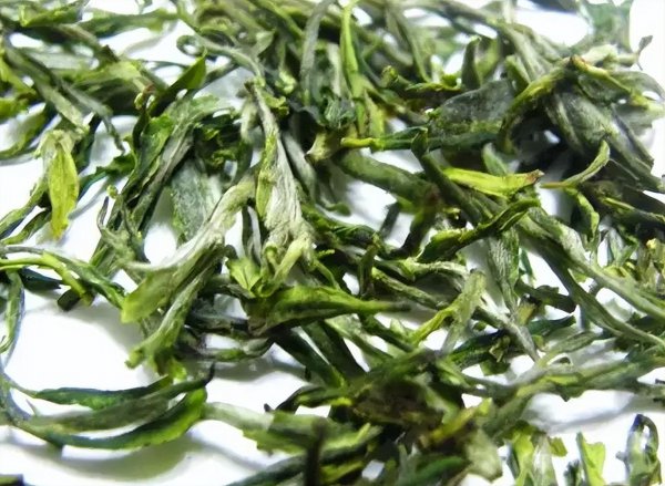 什么绿茶最好喝排行榜