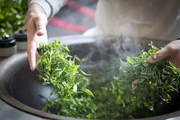 什么绿茶最好喝排行榜