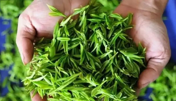 什么绿茶最好喝排行榜