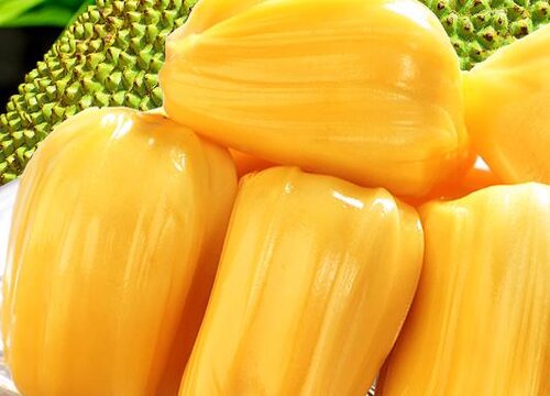 菠萝蜜是水果吗 是什么样的水果