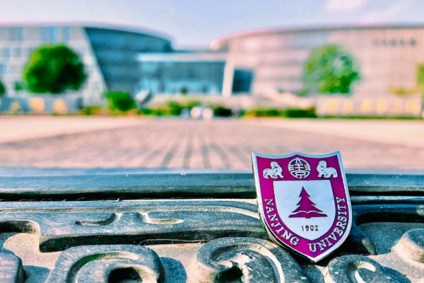 江苏的十大名牌大学