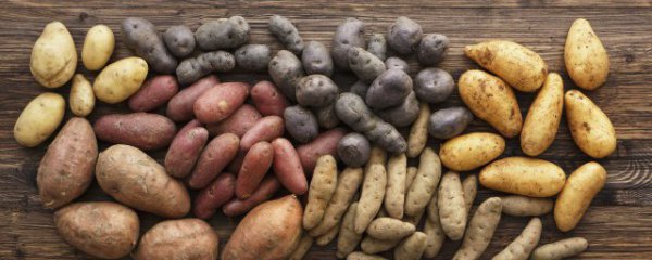 吃块茎的好处和坏处