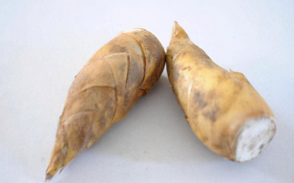 春笋和冬笋的区别在哪里