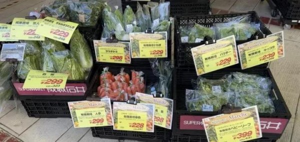 东京面积多少平方公里