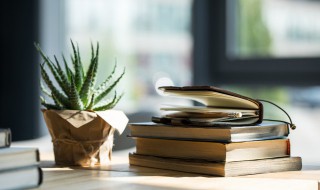 什么盆栽适合养卧室里 什么盆栽适合养在卧室里