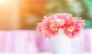 父亲住院适合送什么花束 父亲住院了送什么鲜花寓意最好