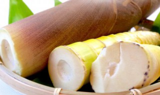 竹笋哪个部位可以吃 竹笋什么部位可以吃