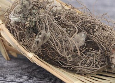 地胆草特点 地胆草的功效与作用