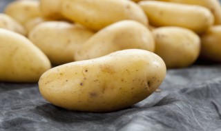 什么菜放的时间长 哪些蔬菜放置时间长