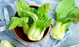 在家种植油菜的方法 在家怎么种植油菜的方法