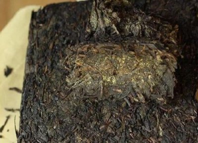 正宗黑茶产地在哪里 中国最好的黑茶产地在什么地方