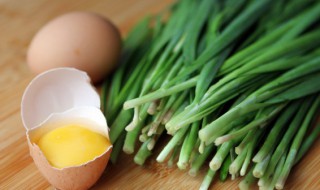 南方冬天怎么种植韭菜 南方冬天如何种植韭菜