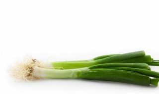 冬季在家储存大葱的方法 冬季在家怎么储存大葱